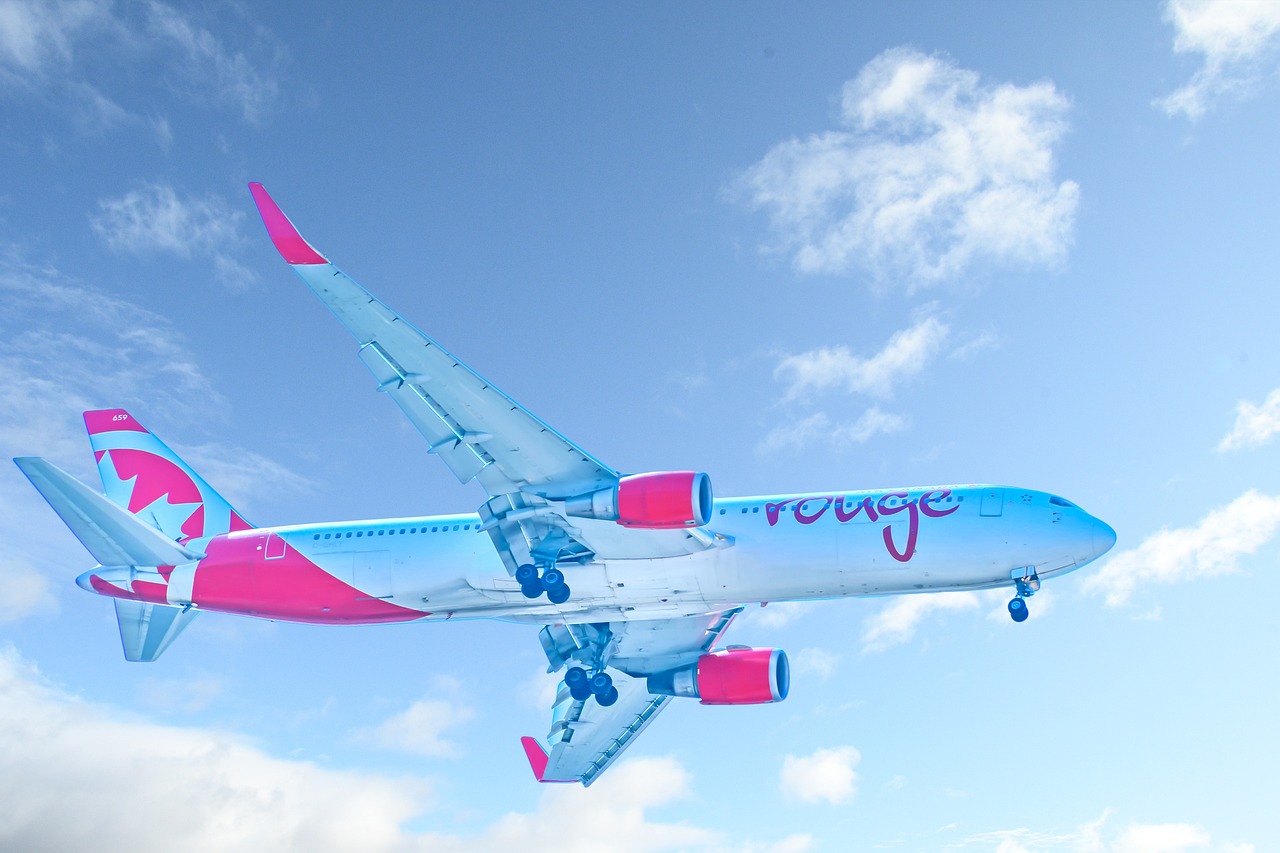 스튜어디스 자격조건