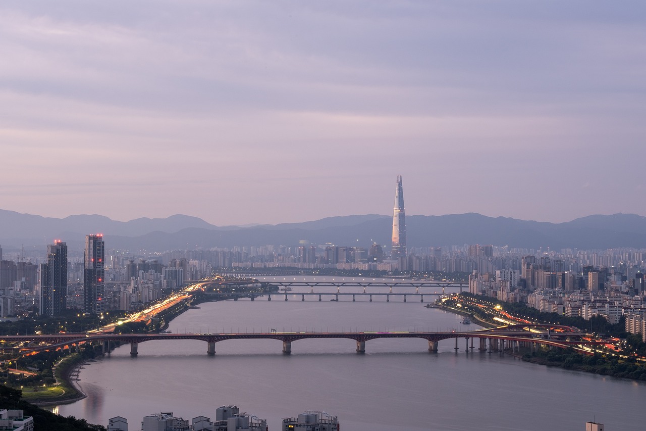 롯데카드사