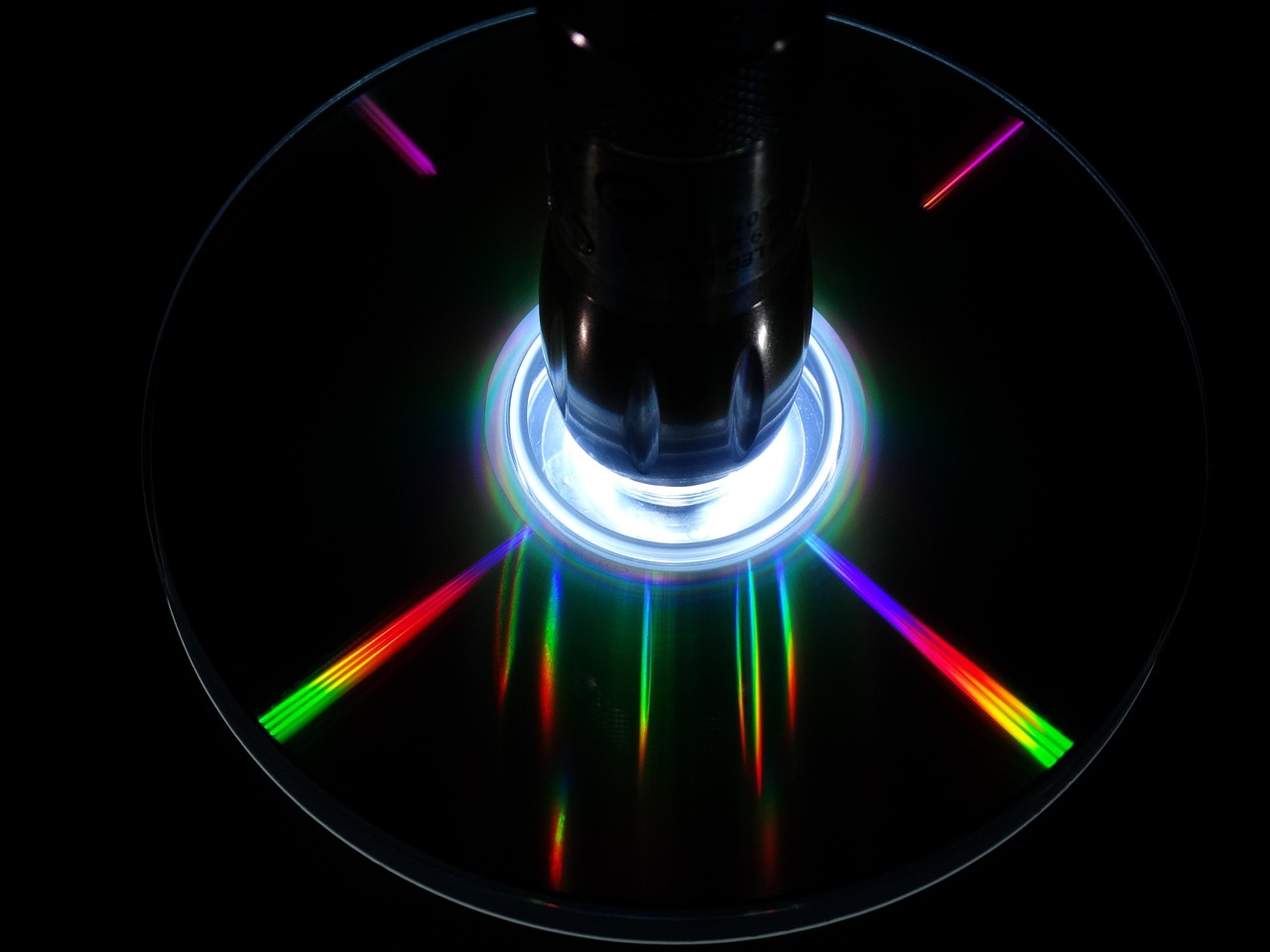 본식 DVD