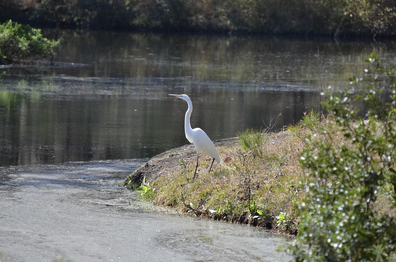 공동명의 주택임대사업자
