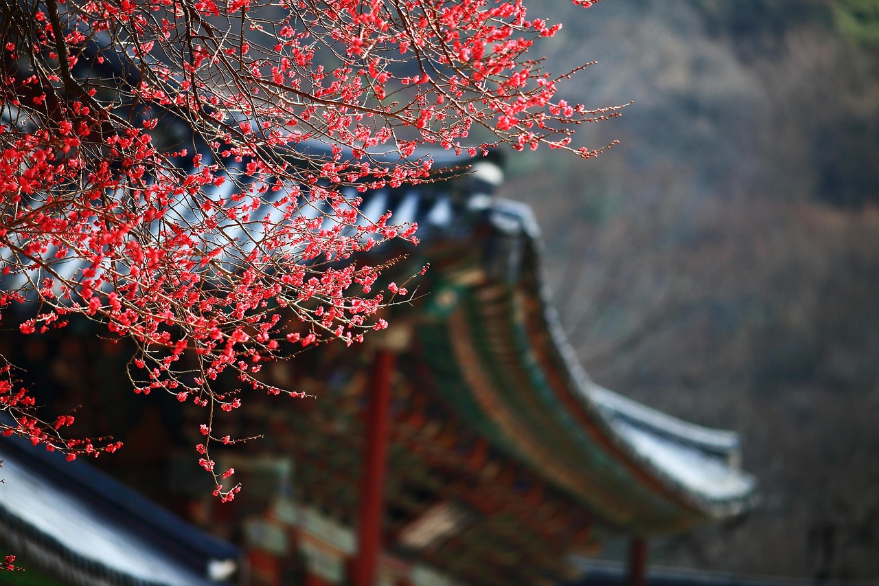korea
