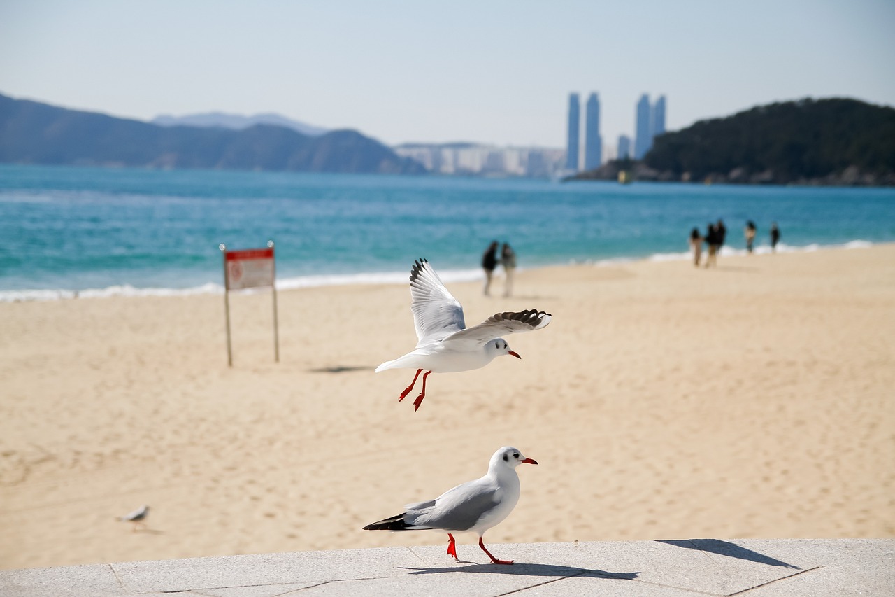 부산 비지니스호텔