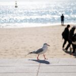 부산에서 효과적으로 보컬 트레이닝 하는 방법 알아보자