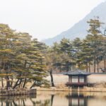 서울 교육문화회관 골프연습장 이용 꿀팁
