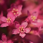 전립선 수술 후 회복을 위한 4가지 팁 알아보기